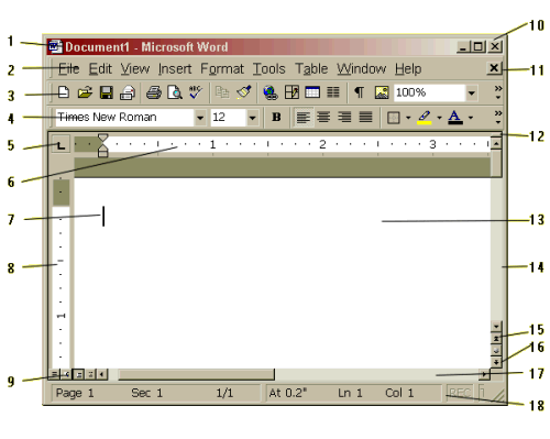 The Excel Screen